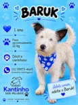 Baruk