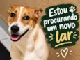 Snoopy