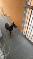Spike
