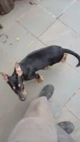 Spike