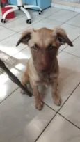 Kira