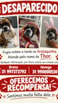 Thor