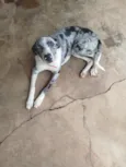LUA