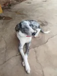 LUA
