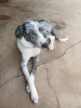 LUA