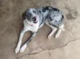LUA