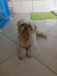 Barry