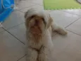 Barry