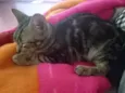sem nome