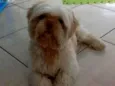 Barry