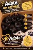 eles ainda não tem nome