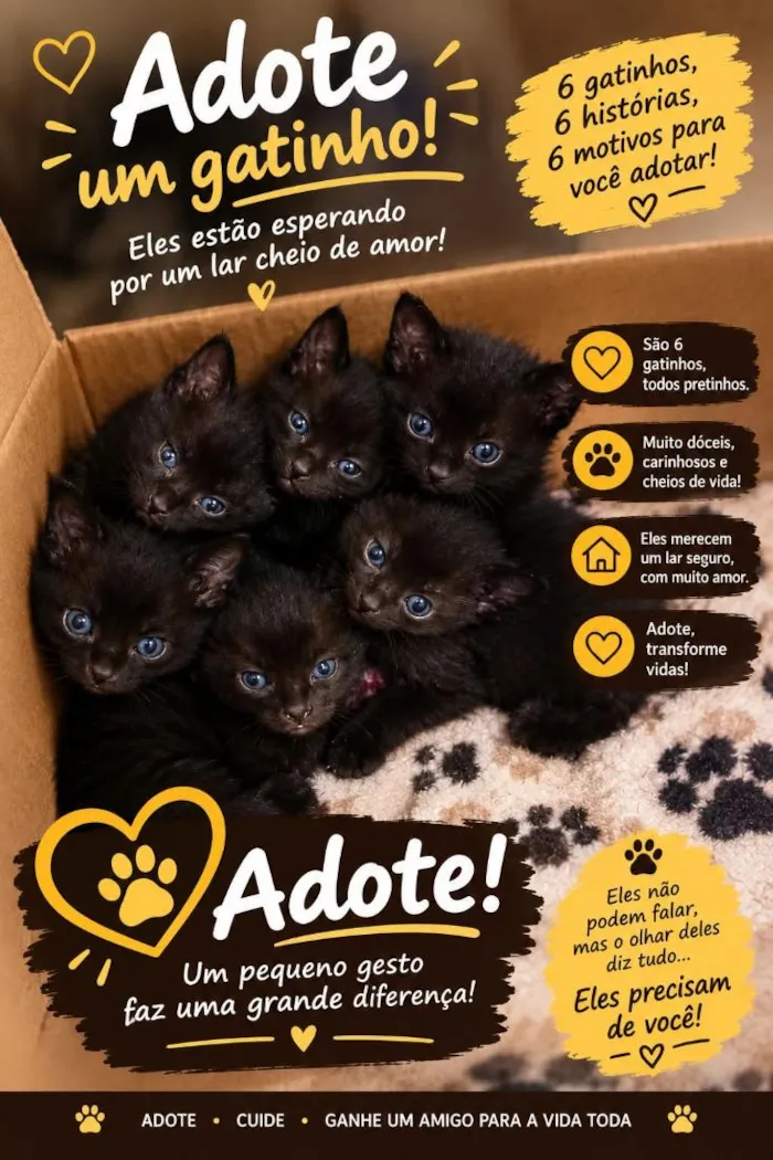 Gato raça SRD-ViraLata idade Abaixo de 2 meses nome eles ainda não tem nome