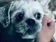 Marley