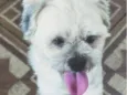 Marley