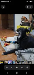 Preta