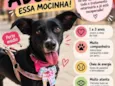Preta