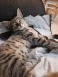 Mimi