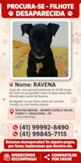 Ravena