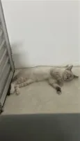 Zeus