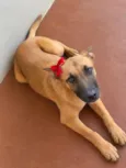 Linda