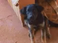 Lua