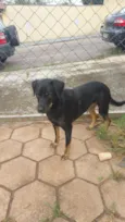 Mel