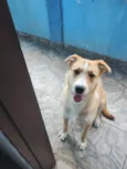 Marley 