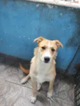 Marley 