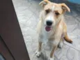 Marley 