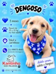 Dengoso