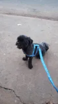 Marley