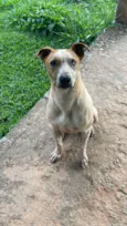 Scooby