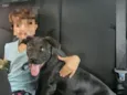 Rocco