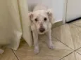 Ninna