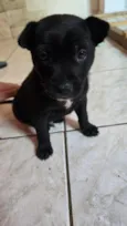 Charlie