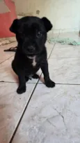 Charlie