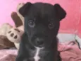 Charlie