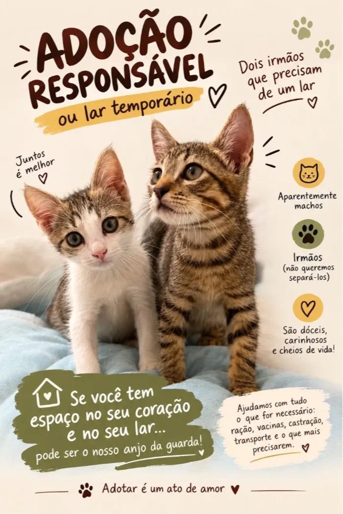 Gato raça SRD-ViraLata idade 2 a 6 meses nome Chico e Bento 