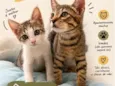 Chico e Bento 