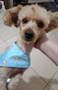 Bartolomeu