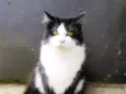Salem