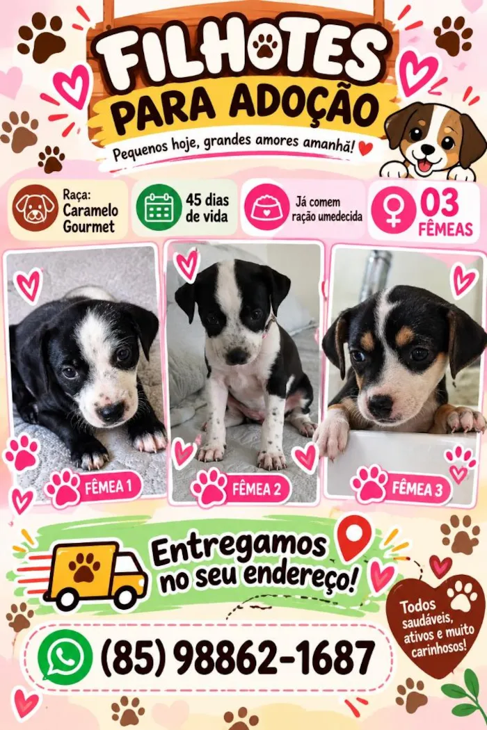 Cachorro raça SRD-ViraLata idade Abaixo de 2 meses nome Caramelos 