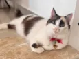 Bonnie