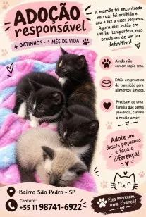 Gato raça SRD-ViraLata idade Abaixo de 2 meses nome Sem nome.