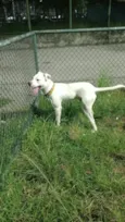 Marley