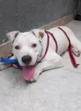 Marley