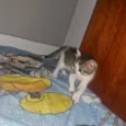 nao tem nome 