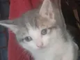 nao tem nome 