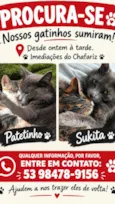 Sukita