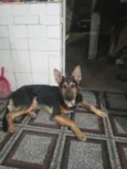 Nick 